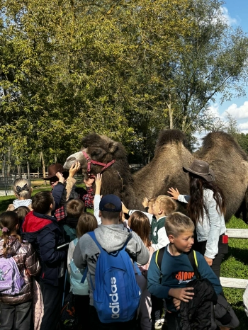 556409279_1243722677558234_3639158041547189250_n