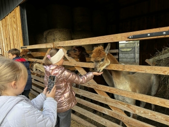 557605212_1243722264224942_4764726546434548186_n