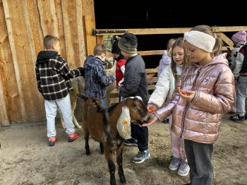 558006860_1243722794224889_7355102500205497706_n