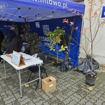 558341304_1251706263426542_8102543191320448296_n