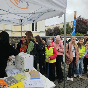 559669635_1251705780093257_6357356290424662736_n