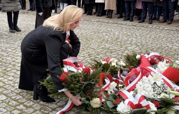 579832195_1278792560717912_5077739271124129779_n