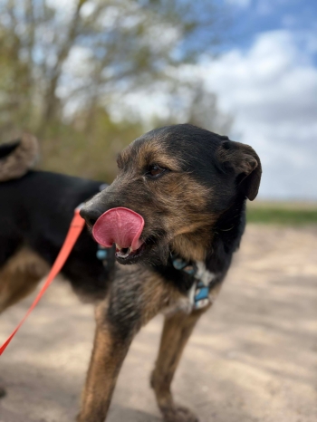 680833580_1409672950963205_5102108611686919433_n