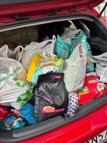 681107844_1409672884296545_2713920314198278211_n