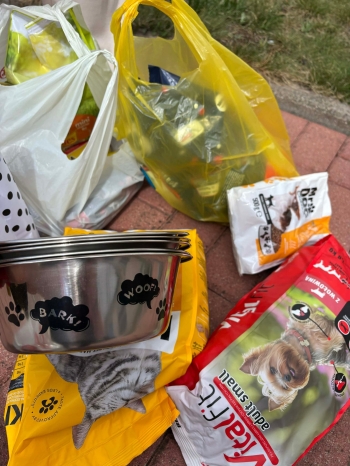 681511475_1409672760963224_8554011096159328801_n