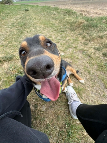 683322875_1409672997629867_2535550835418479801_n