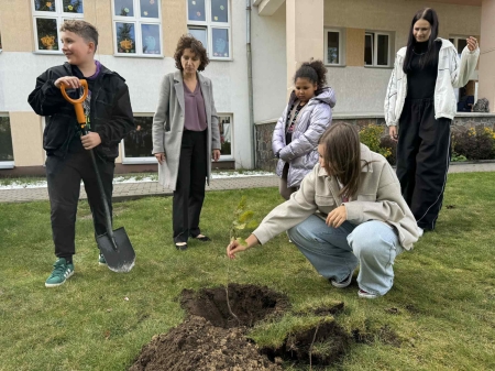 Międzynarodowy Dzień Drzewa