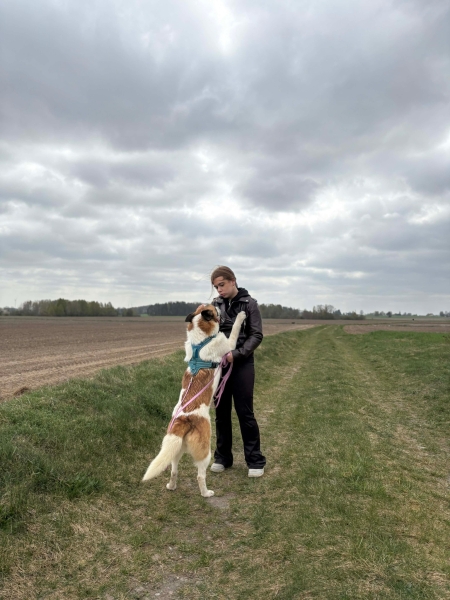 Z całego serca dla zwierzaków